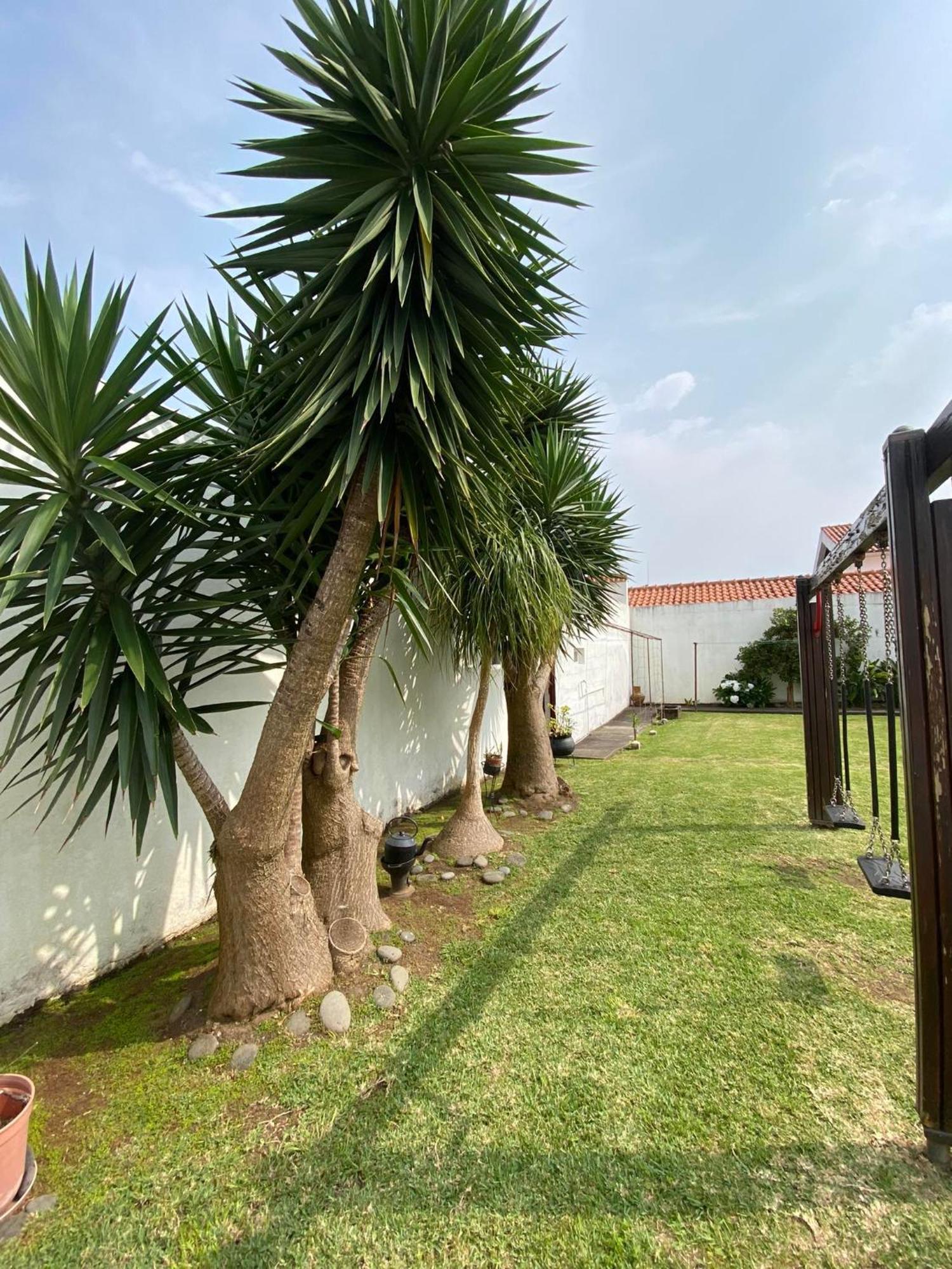 Apartamentos Sao Joao Horta  Dış mekan fotoğraf