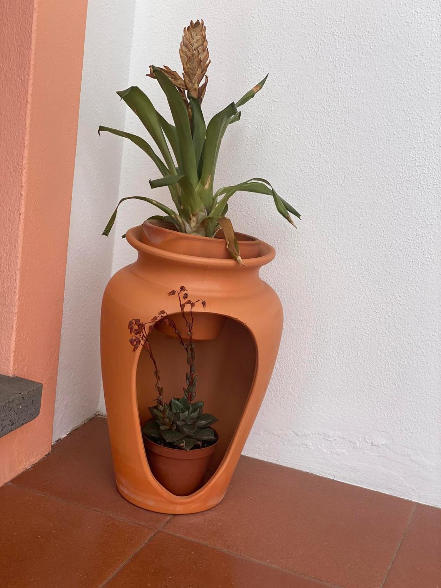Apartamentos Sao Joao Horta  Dış mekan fotoğraf